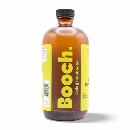 Kombucha - Citrus Twist (12 Bottles)