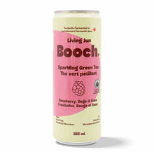 Sparkling Green Tea - Raspberry, Sage & Rose (12 Cans)