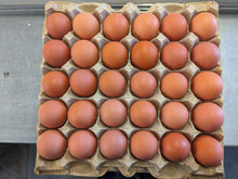 Large Brown Eggs - Case of 180