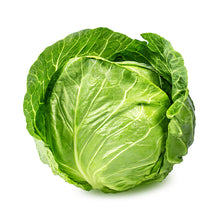 Large White Cabbage