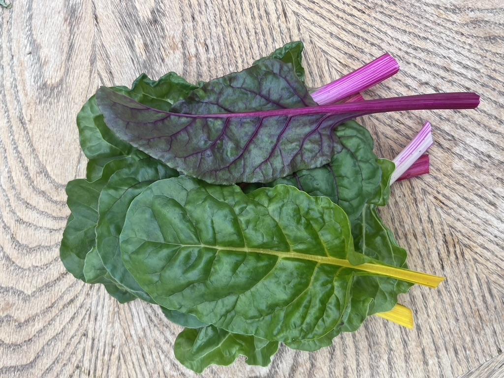 Rainbow Swiss Chard