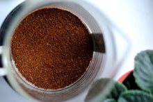 Case of Medium Roast Portion Packs - 50 x 60g ground coffee