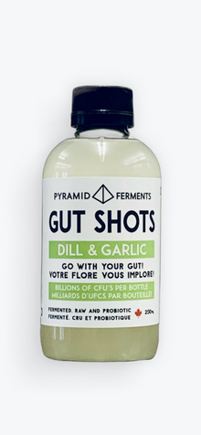 Gut Shots - DILL & GARLIC - 12 x 250ml