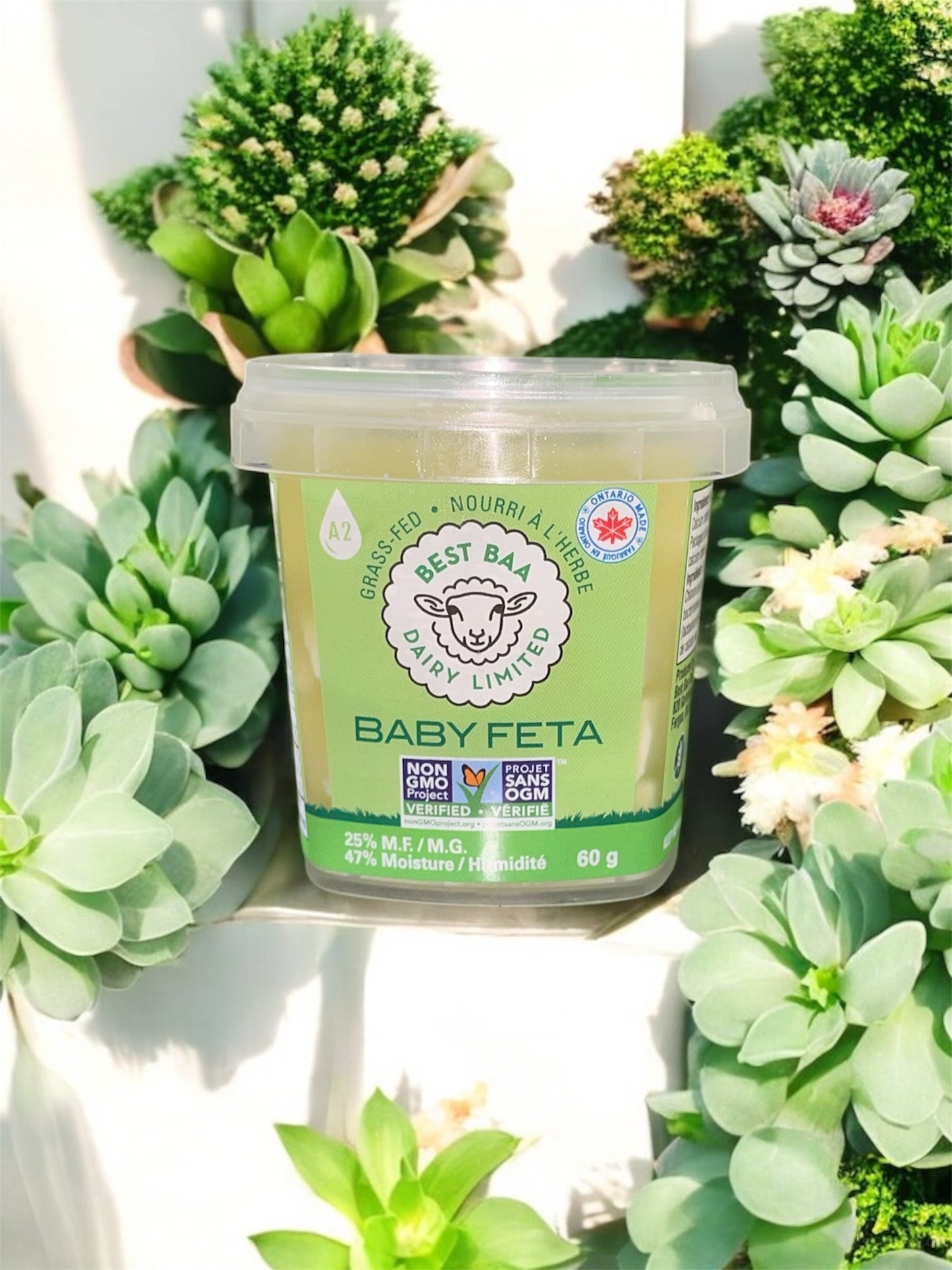 60g Baby Feta - RETAIL PACKAGING