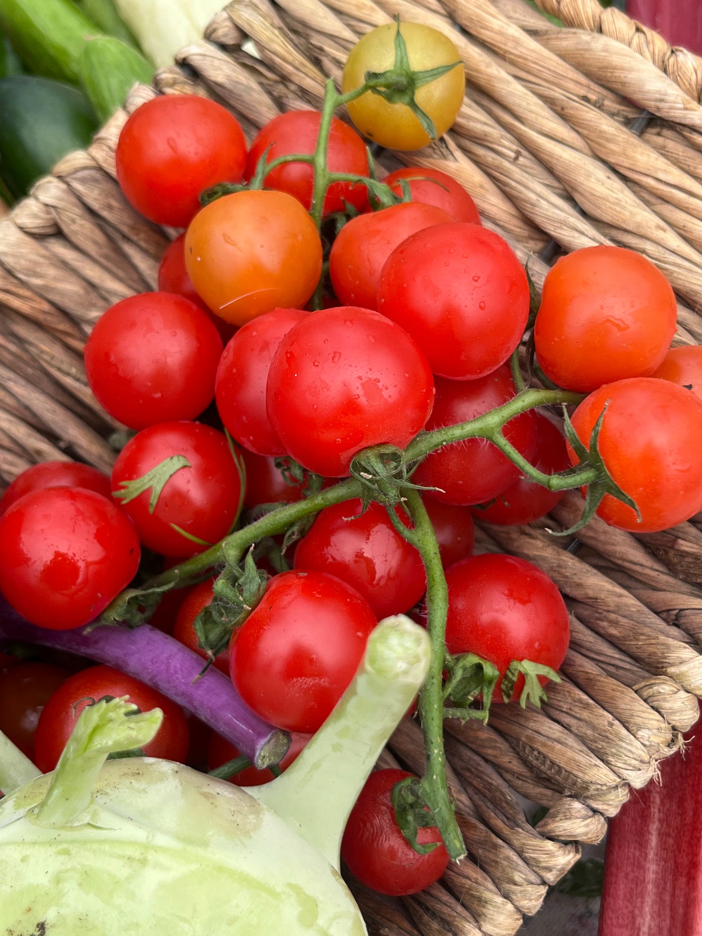 Vine Ripe Tomatoes