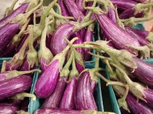 Fairy Tale Eggplants