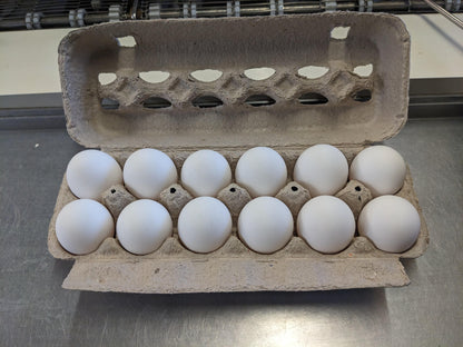 Extra Large White Carton