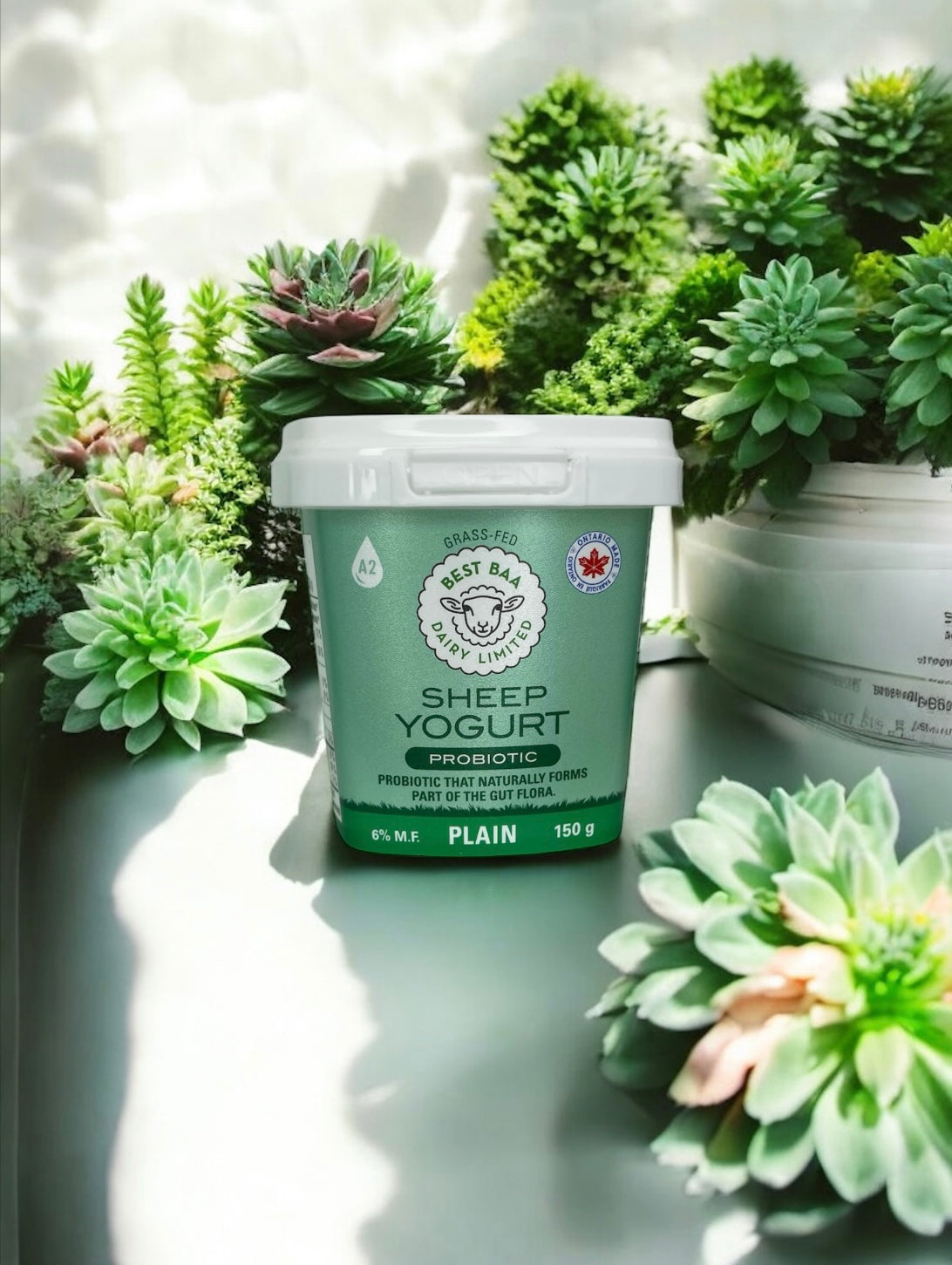 150g Plain Sheep Yogurt - RETAIL PACKAGING - SALE 25% OFF reg. $2.15