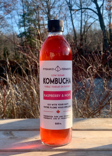 Kombucha - Raspberry & Hops - 12 x 500ml Bottles