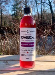 Kombucha - Blueberry Verbena - 12 x 500ml Bottles