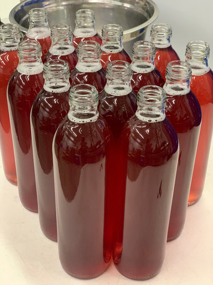 Kombucha - Blueberry Verbena - 12 x 500ml Bottles