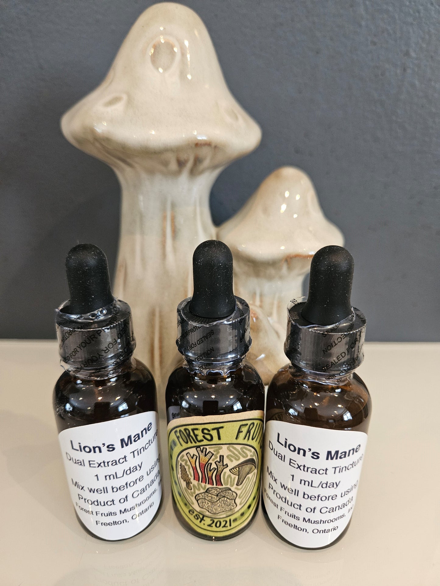Dual Extract Lion's Mane Mushroom Tincture