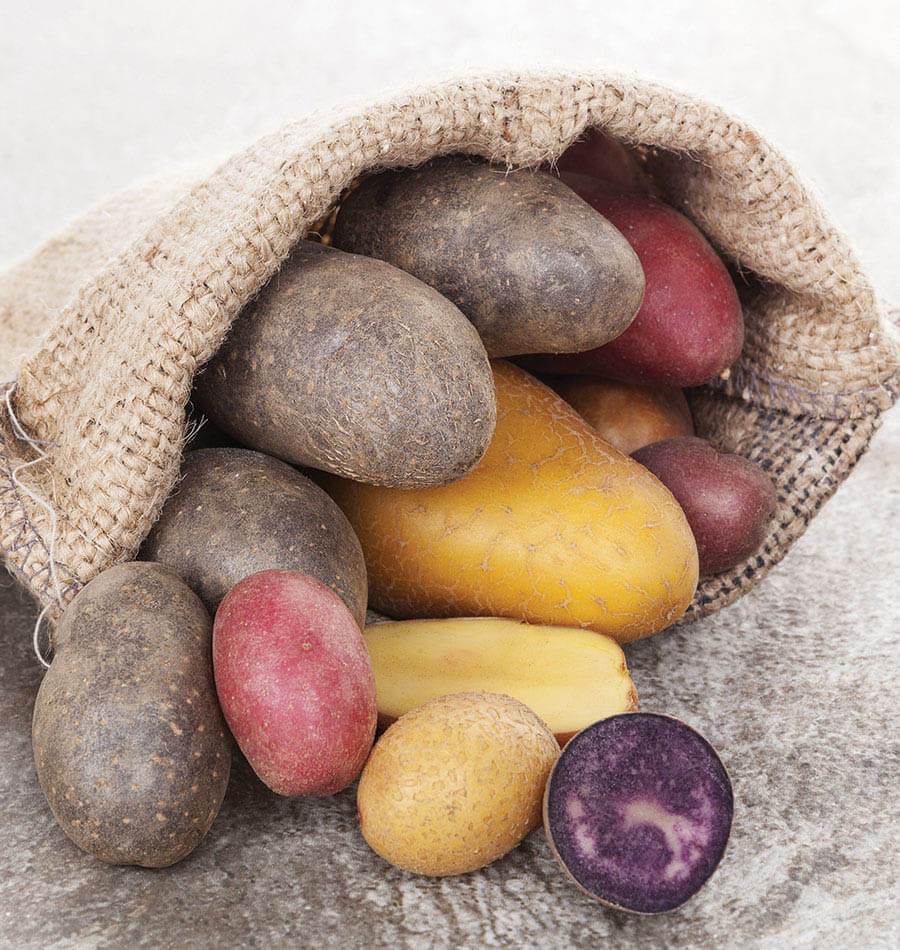 Mixed Potatoes