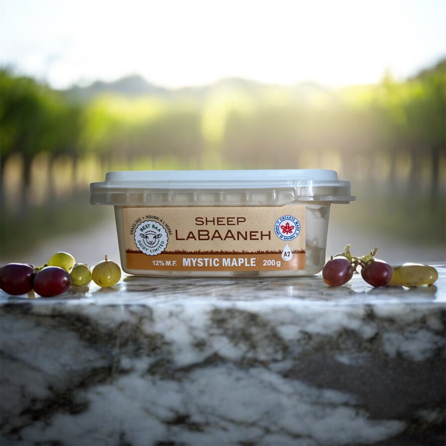 200g Mystic Maple LaBAAneh Sheep Cheese