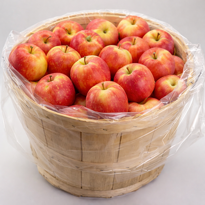 Salish apples