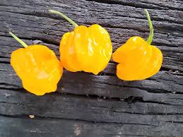 Seasoning Peppers