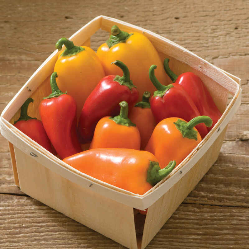 Lunch Box Peppers