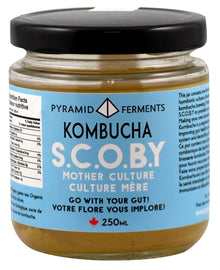S.C.O.B.Y. Kombucha Mother Culture - 12 x 250ml jars