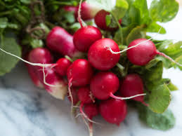 Red Radishes
