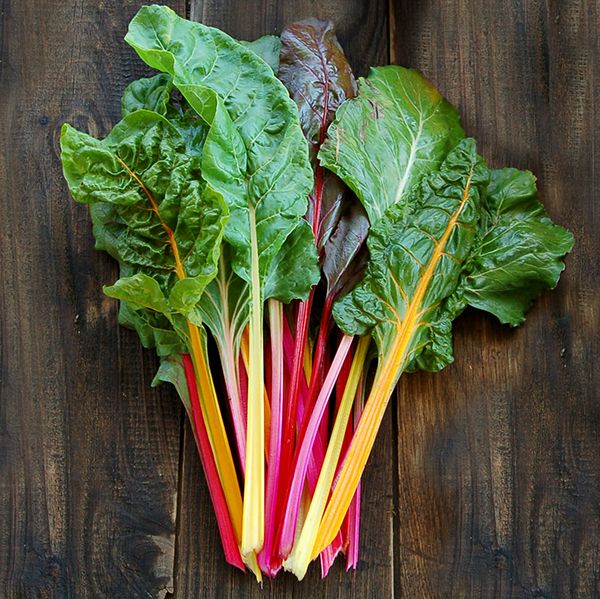 Rainbow Chard
