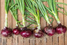 Red Onions with Tops