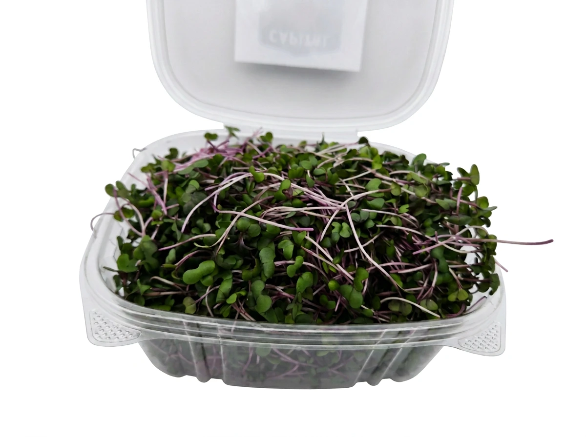 Red Cabbage Microgreens (4 × 110 g clamshells. 440 g total)