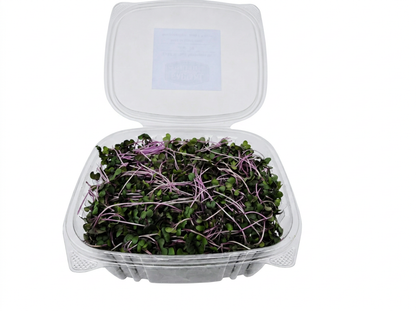 Red Cabbage Microgreens (4 × 110 g clamshells. 440 g total)