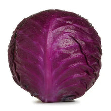 Large Red Cabbage