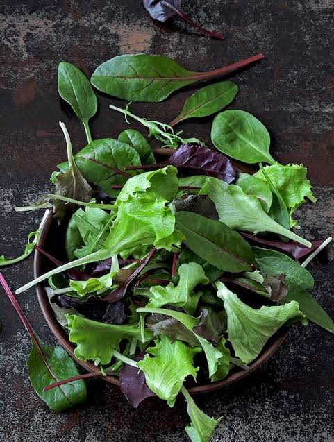 Baby Salad Mix