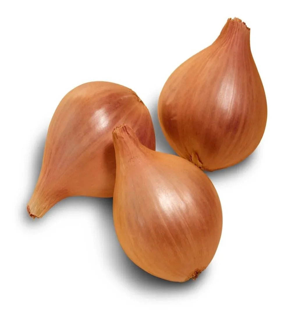 Shallots