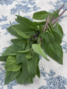 Thai Basil