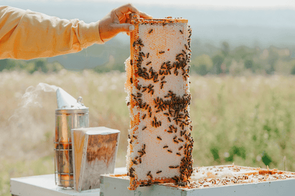 Bulk Natural Honey - Wildflower Pail