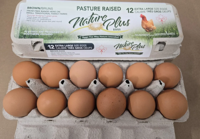 Pasture-Raised Eggs in Cartons